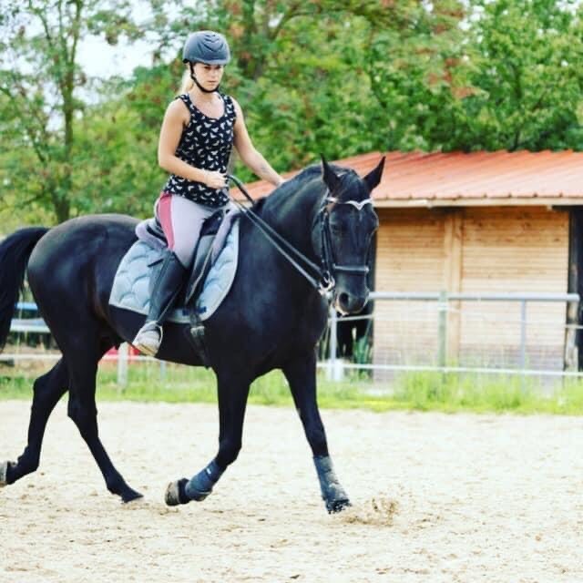 About Us Zante Horse Riding