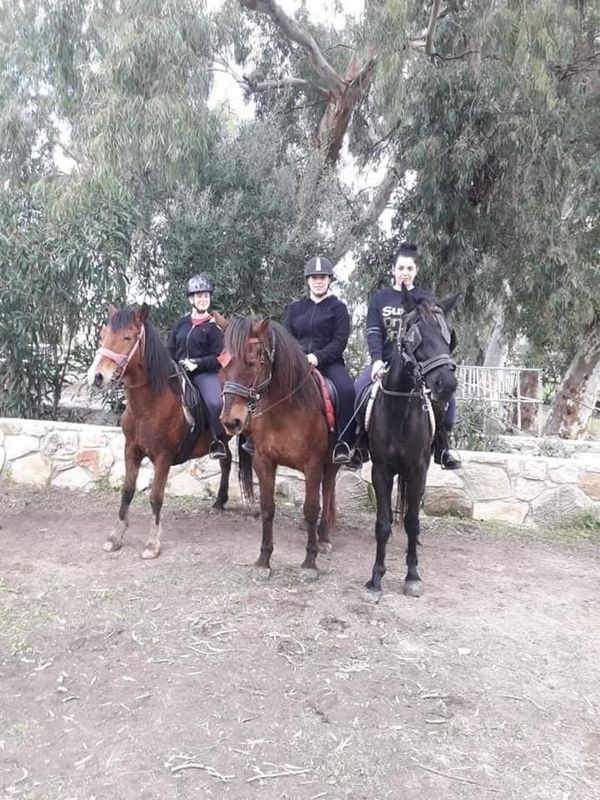 About Us Zante Horse Riding