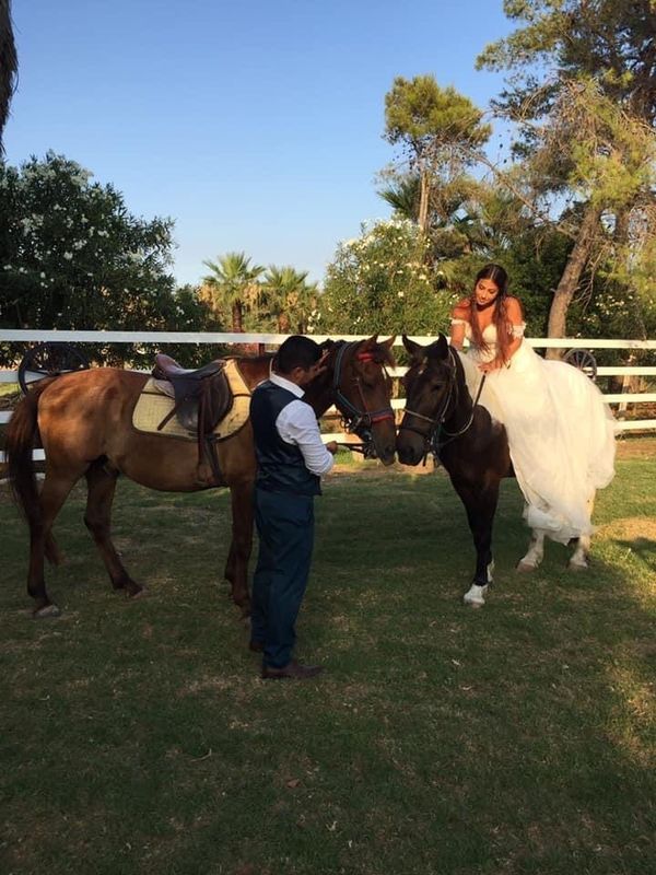 Events Zante Horse Riding