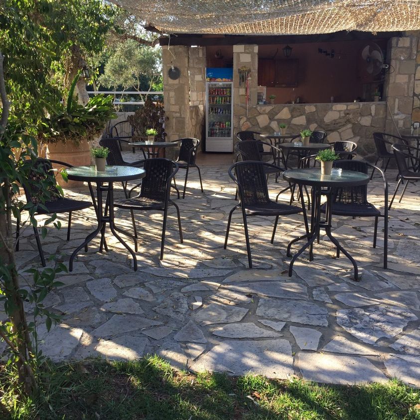 Events Zante Horse Riding