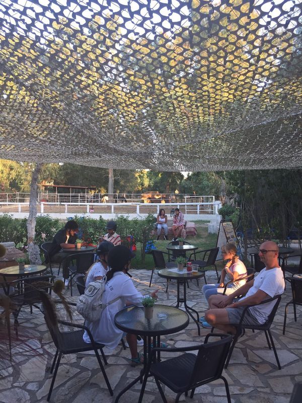 Events Zante Horse Riding