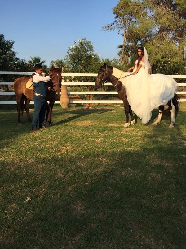 Events Zante Horse Riding