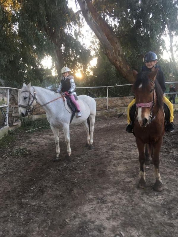 Events Zante Horse Riding