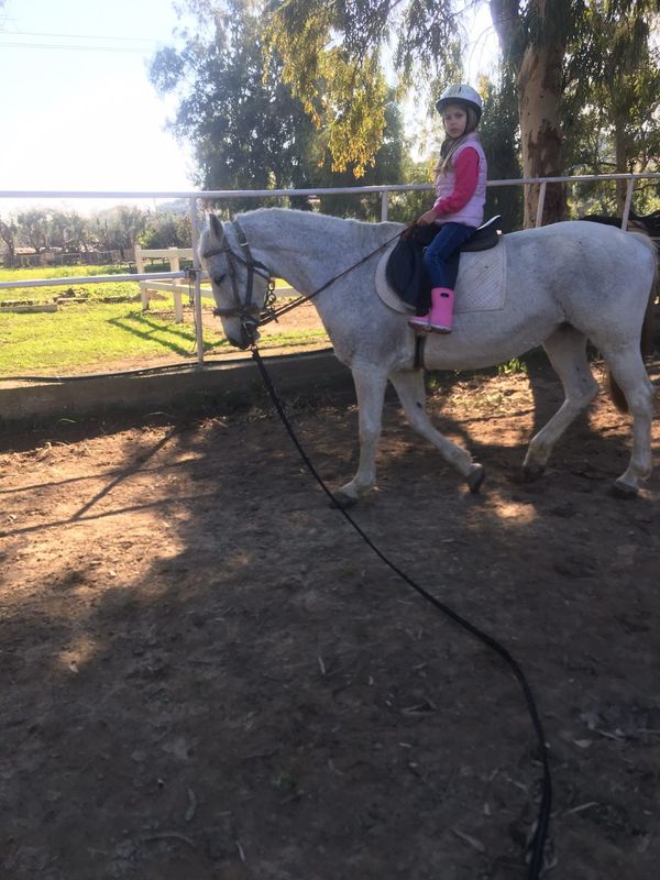 Events Zante Horse Riding